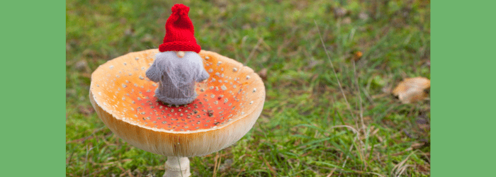 March 2022 – Last month it was hurricanes, this time it was tech gremlins!